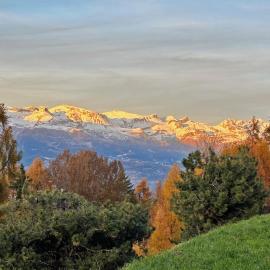 Lift Bear Lodge - 4Valleys - Swiss Alps, hotel en Agettes
