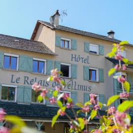 Le Relais de Vellinus - Contact Hôtels, хотел в Болио-сюр-Дордон