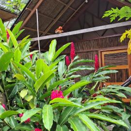 Casa kumake tayrona, hotel u gradu El Zaino