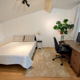 Huone lintukodossa, hotel in Helsinki