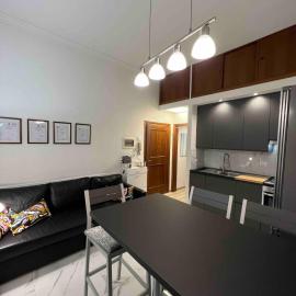 Modern apartment with two terraces in the city center