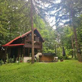 Misha's House, hotel in Porumbacu de Sus