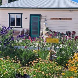 Heartland cottage, hotel en Ross