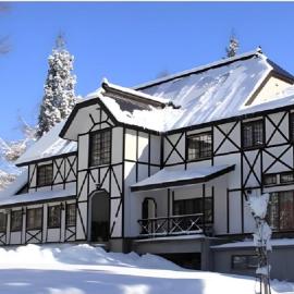 Hotel Davos Hakuba, hotel in Hakuba