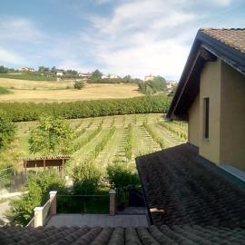 Vite diPinte 1 bilocale in langa, viešbutis mieste Novelo