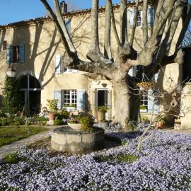 La Petite Seigneurette1