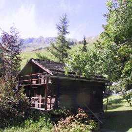 Mazot de l' Arche de Noé、ヴェルビエのホテル