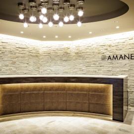 HOTEL AMANEK Osaka Namba