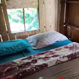 Yasur Backpackers Bungalow & Tree House, отель на острове Танна