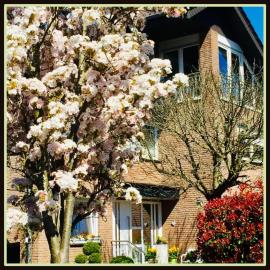 Top Ferienwohnung Raesfeld, Schlossnähe, zentral