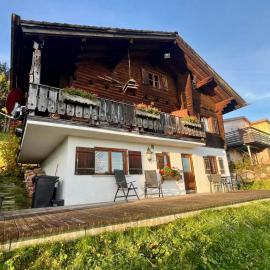 Viesnīca Ferienwohnungen im Blockhaus Metzler pilsētā Švarcenberga