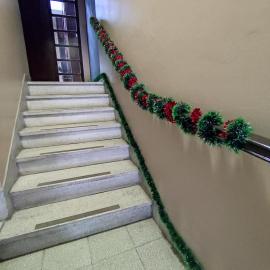 Cuba linda, alojamiento, hospedaje 3 habitación económico