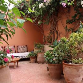 Tilily Home And Garden
