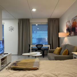 Quiet home with free parking, Wifi & good connections, hotel en Espoo