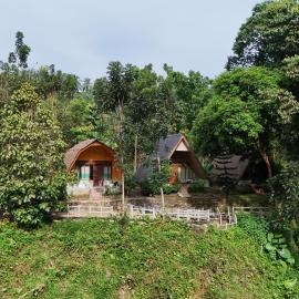 Green Forest Tangkahan, Hotel in Tangkahan