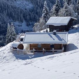 Siedelhütte โรงแรมในแกร์ลอส
