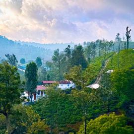 Mad & Nomad Backpackers Hostel, Hotel in Coonoor