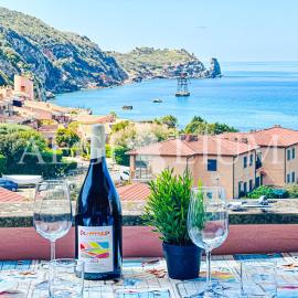 Giglio Rosa 4 n23