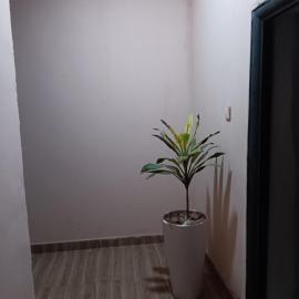 Posh homes and apartments