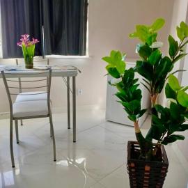 Tropical Loft