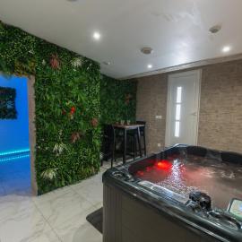 Cinéma Room avec Jacuzzi Privatif