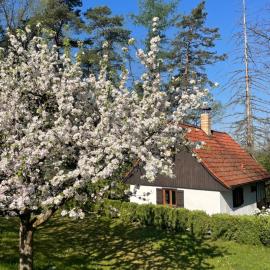 Chata nad řekou Otavou, hotel in Vojníkov
