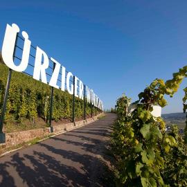 Weingut Rebenhof, hotel in Ürzig