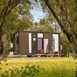 Olive Sanctuary by Tiny Away