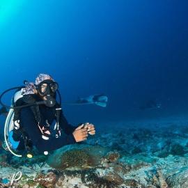 Addu Scuba Dive, hotelli kohteessa Maradhoofeydhoo
