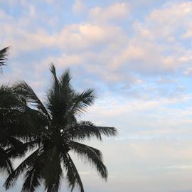 Kokrobite beach Residences and Spa, hotell i Kokrobite