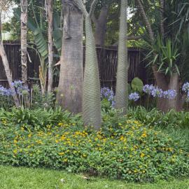 La Bushka Guesthouse, hotel em Bela-Bela