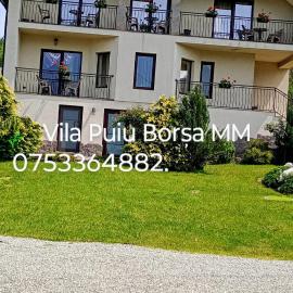 Vila Puiu Borsa MM, hotel di Borsa