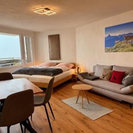 AlpinLounge Scheidegg - Studio mit Wellness und Bergblick, hotel a Scheidegg