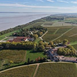 Château Loudenne - Ecottage dans le parc - Alfred