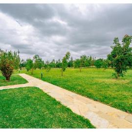 Inchorroi Cottages - champagne ridge, hotel in Oloyaingalani