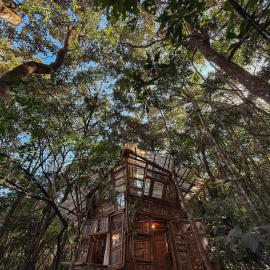 Casa Bambu - 5 min do Centro - Experiência imersiva na floresta