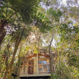 Cabana Floresta Amada