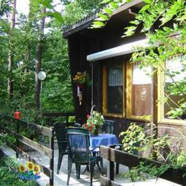 Ferienhaus beim Stechlinsee