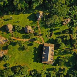 Hacienda Tambopata Lodge, hotel din Tambopata