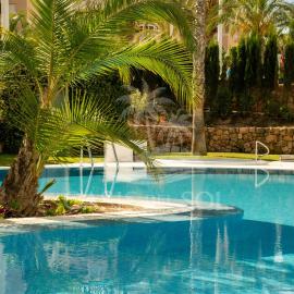 Sunny Place Oasis del Sol