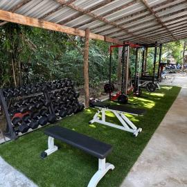 Nest Jungle