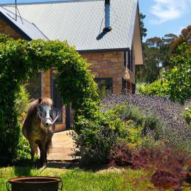 The Pony Lodge