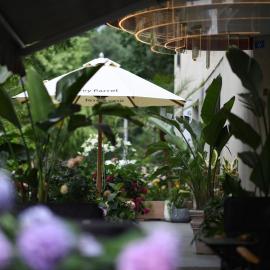 Grey Parrot Resort Hotel