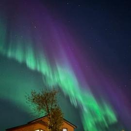 Hogne's house, hotel i Tromsø