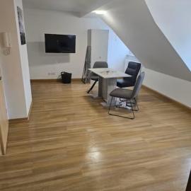 Schöne Vollausgestattete Monteurs- Gästewohnung nähe Raffinerie Leuna und Geiseltalsee 0307