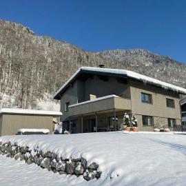 Ferienwohnung Übelher, hotel a Schnepfau