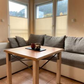 Wohnung Sonnenblume mit Infrarotkabine und Sommer Hörnerbahnen kostenlos