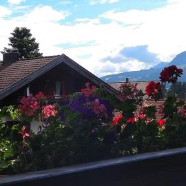 Ferienwohnung "Am Dorfbach" mit Sommer Hörnerbahnen kostenlos, готель у місті Больстерланґ