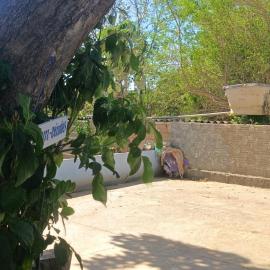 rancho rio