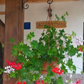Apartman Thea Gomirje, hotel in Gomirje